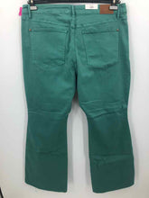 Load image into Gallery viewer, Judy Blue Size 22 Sea Green Pants