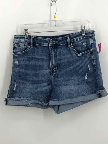 Judy Blue Size XL Denim Frayed Shorts