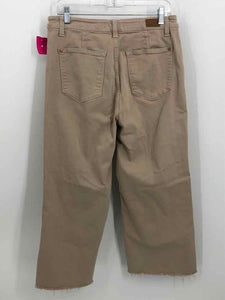 Judy Blue Size Large Beige Pants