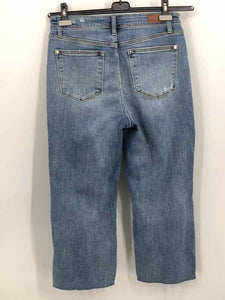 Judy Blue Size Large Denim Frayed Jeans