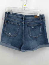 Load image into Gallery viewer, Judy Blue Size XL Denim Frayed Shorts